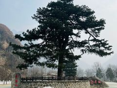 -秦岭终南山世界地质公园翠华山景区