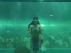 -苏州海洋馆