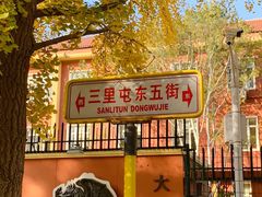 -三里屯东五街银杏大道