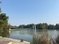 -东湖落雁景区