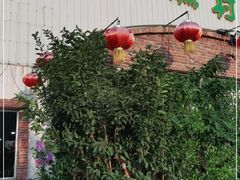 -石岐乳鸽村(桥观坊南四巷店)