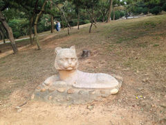 iphone_upload_pic-贮水山儿童公园