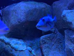 -成都浩海立方海洋公园