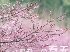 -徐家汇源景区-衡山公园