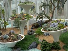 -深圳仙湖植物园