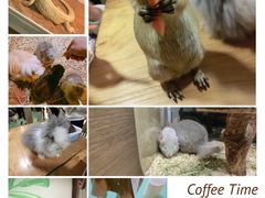 -藦茜花园宠物主题亲子互动体验馆(国顺东路店)