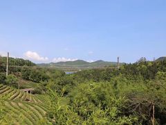 -东部华侨城