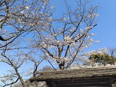 -鹤冈八幡宫