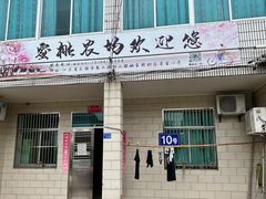 -老袁家蜜桃农场·阳山水蜜桃