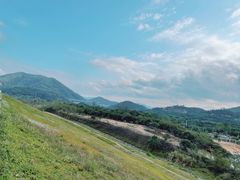 -清溪森林公园