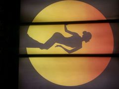 picture-云海肴·汽锅鸡·云南菜(天津国金汇店)