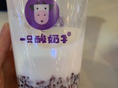 -一只酸奶牛(益州国际店)