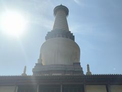 -张掖大佛寺景区