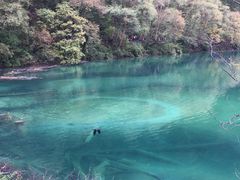 -阿莉餐厅(枣阳路店)