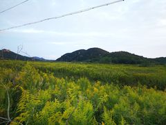 -印象普陀