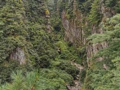 -苍山感通索道
