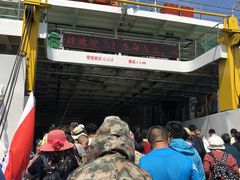 -长岛万鸟岛