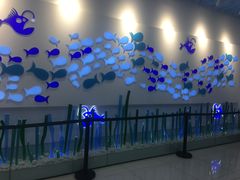 -新荟城(望京店)