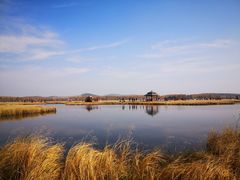 -塞罕坝国家级自然保护区