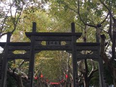 -杭州黄龙洞