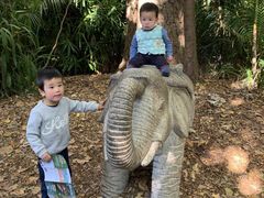 -威勒比开放式动物园