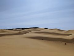 -银肯塔拉沙漠生态旅游景区