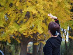 -昆山城市生态森林公园