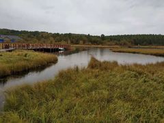 -塞罕坝国家级自然保护区