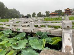 -安龙招堤