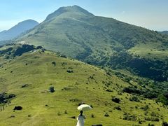 -大姆山草场