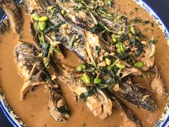 -渔娘蟹庄(阳澄湖莲花岛店)