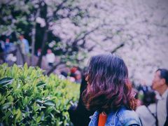 -武汉大学-樱园