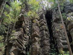 -梭布垭石林景区
