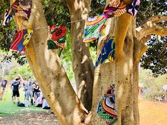 -威勒比开放式动物园