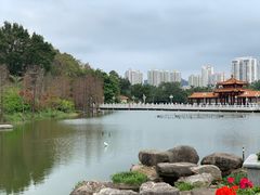 -荔枝公园-小平画像广场