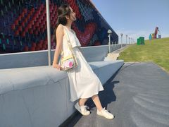 -荷兰花海
