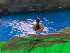 -水王国温泉水世界