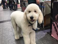 -南门头上美食街