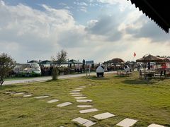 -七的湖·晚芳亭·阳澄湖农家菜·大闸蟹(莲花岛店)