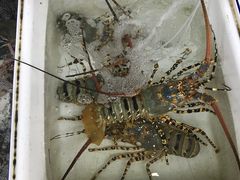 -拉威海鲜市场