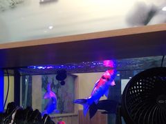 -闻香阁·清真(光荣道店)
