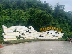 -西双版纳原始森林公园