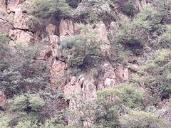 -鸡鸣山旅游景区