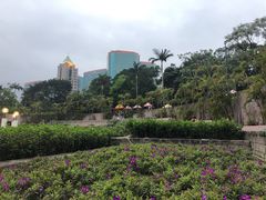 -九龙公园