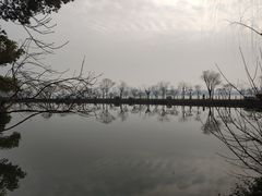 -无锡蠡湖国家湿地公园-蠡园