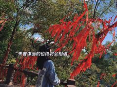 -云洞岩风景区