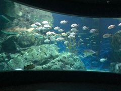 -暹罗海洋世界