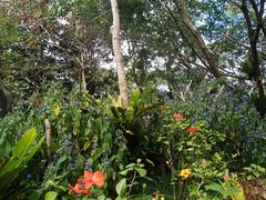 -深圳仙湖植物园-停车场
