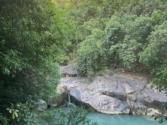 -广州白江湖森林公园