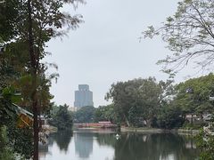 -荔湾湖公园